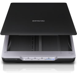 EPSON Scanner - Perfection V19 (A4, 4800x4800 DPI, USB, USB tápellátás)